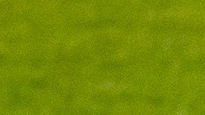 Philadelphia Phillies.