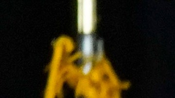 La senadora Kamala Harris y el exvicepresidente Joe Biden lideraron su primer evento juntos.