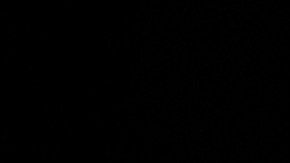 La senadora Kamala Harris es la compañera de boleta del exvicepresidente Joe Biden.