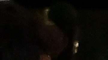 Neymar estuvo enloquecido tras ganarle al Leipzig.