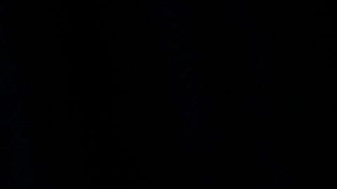 El anuncio se emitirá en Florida y Arizona, ambos estados clave.