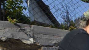 Los niños tienen mucho más carga viral de la que se creía.