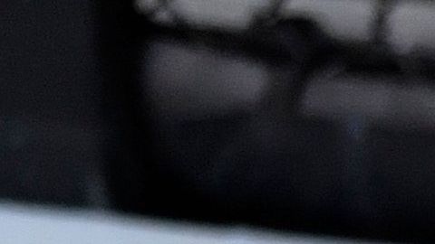 "Chito" Vera terminó a Sean O'Malley en el round 1.