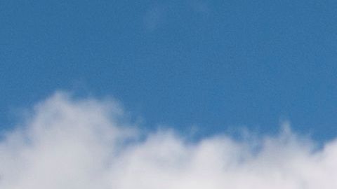 Un hombre con una bandera de apoyo a Trump.