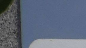 El director de USPS afirma que reforzará a su equipo para atender el volumen de votos por correo.