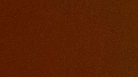 Personas miran el incendio LNU desde un viñedo en Healdsburg, California.