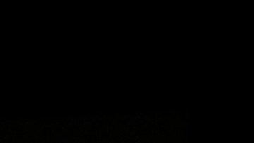 El presidente Trump acudió a la Convención Nacional Republicana.