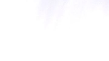 La estatua de un oso, símbolo de California, en el zoológico de Oakland.