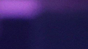 Trump busca crear nuevos empleos después de anunciar la orden ejecutiva de los $400 dólares por desempleo