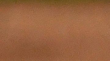 El pitcher Lucas Giolito durante su obra maestra.