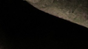 La primera dama Melania Trump dio un discurso desde la Casa Blanca.