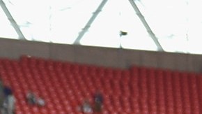 Los campeones de Londres 2012.