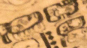 Escritos mayas expuestos en la Librería del Estado de Saxon.