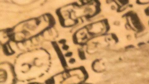 Escritos mayas expuestos en la Librería del Estado de Saxon.