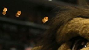 Bailey, mascota de L.A. Kings.