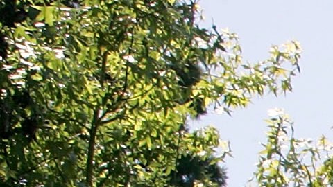 Sale a la venta la mansión más cara de Pasadena en $39.8 millones de dólares