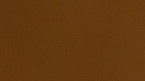 Facebook lanza su propia versión de TikTok se llama Instagram Reels