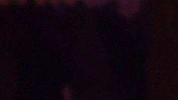 Conor McGregor y Dee Devlin en Las Vegas en 2016.