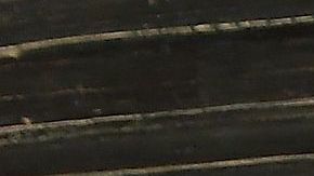 Jorge Ramos y Chiquinquirá Delgado