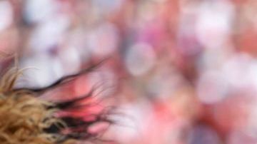 Las porristas de Washington.