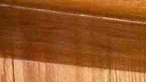 Héctor Suárez Gomís