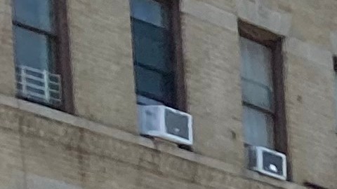 El concejal Carlos Menchaca, y Jumaane Williams, defensor del pueblo, durante el Día de Acción por el Censo 2020 en Brooklyn.