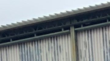 El cónsul Carlos Martínez, el concejal Francisco Moya, el presidente del ECC, presiden el acto cívico en Corona Plaza.