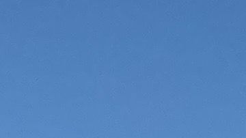 Aún se dificulta contar en ciertos barrios de Los Ángeles. (Cortesía Visión y Compromiso)