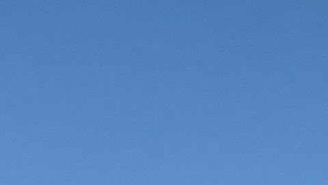 Aún se dificulta contar en ciertos barrios de Los Ángeles. (Cortesía Visión y Compromiso)