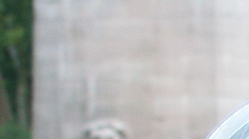 Las protestas de lo movimientos contra la brutalidad policial definieron el inicio del verano 2020. (Foto: Fernando Martínez)