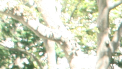 Un grupo de estudiantes de primaria y secundaria se unieron a esta solicitud.