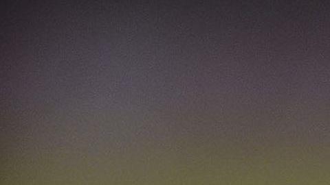 Carrillo fue campeón con América en el Clausura 2005.