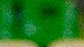 Pizzuto es canterano de Pachuca y firmó hace unos días con el Lille francés.