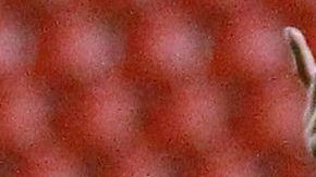 Norma busca entretenerse en la cuarentena.