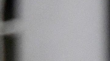 La fiesta fue en la casa de Ceppelini.