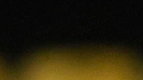 El guardameta de Tigres no puede vencer al COVID-19.