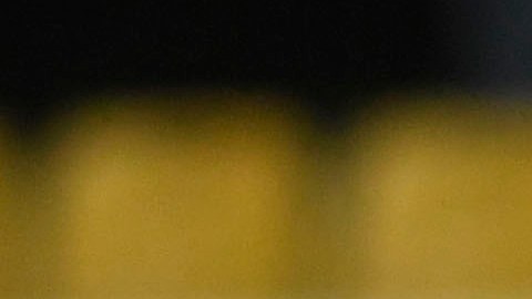 El guardameta de Tigres no puede vencer al COVID-19.