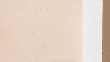 Activistas estiman que hay al menos 14,000 familias en inminente peligro de ser desalojadas en la Gran Manzana.