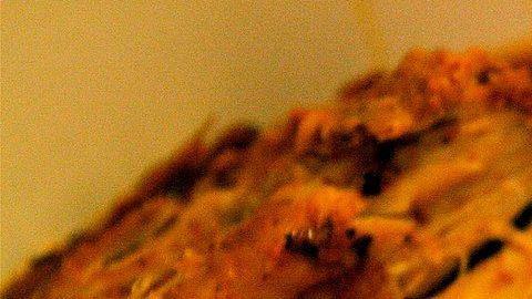 Tradicionalmente, la cochinita se horneaba bajo la tierra.