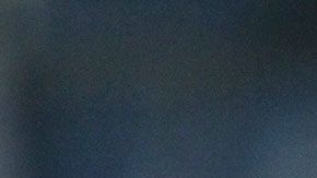 Jesus Gallardo Fiesta