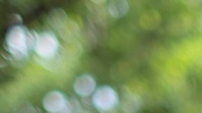 Luisa-Soaterna-Castañeda