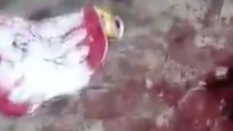 Masacre de jovencitos, al menos 8 fueron asesinados por un grupo armado