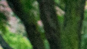 Trabajadores afectados por la pandemia junto a los patrocinadores de la NY Hero Act. durante la manifestación ante el hospital Bellevue.