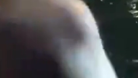 La Policía compartió el video en su cuenta de Twitter.