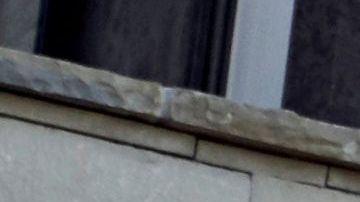 BMW X7 hana premio  WardsAuto 10 Best UX