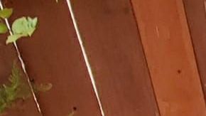 La pandemia inspira el lado creativo de Rebecca Sotelo. (Cortesía Rebeca Sotelo)