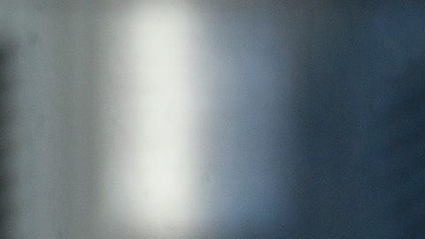 Paco Jémez chivas