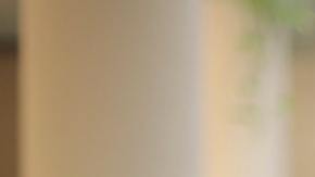 El alcohol puede aumentar el deseo sexual en las mujeres y a los hombres los hace sentirse más seguros.