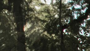 Porsche Taycan Turbo S. / Foto: Cortesía Porsche.