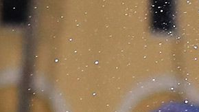 Portland Timbers campeones MLS